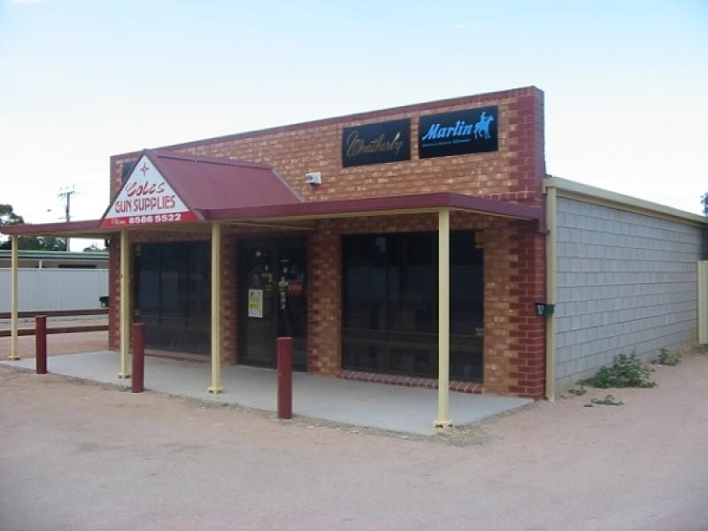 91 Fifteenth Street, Renmark SA 5341