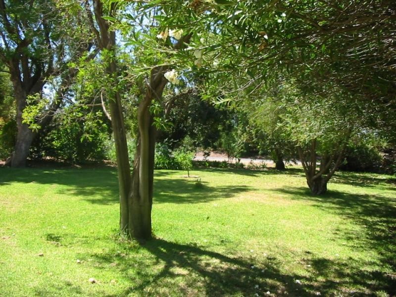 Lot 1 Corner of Bookmark Avenue and Tarcoola Street, Renmark SA 5341