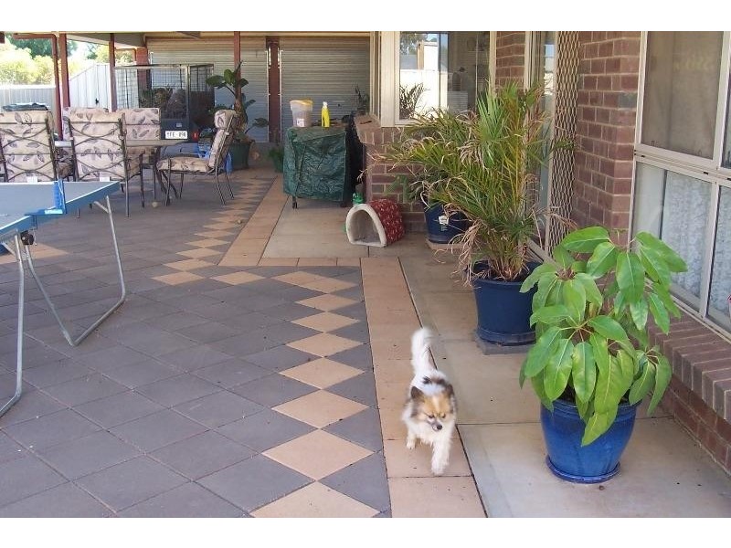 5 Huckstepp Court, Berri SA 5343