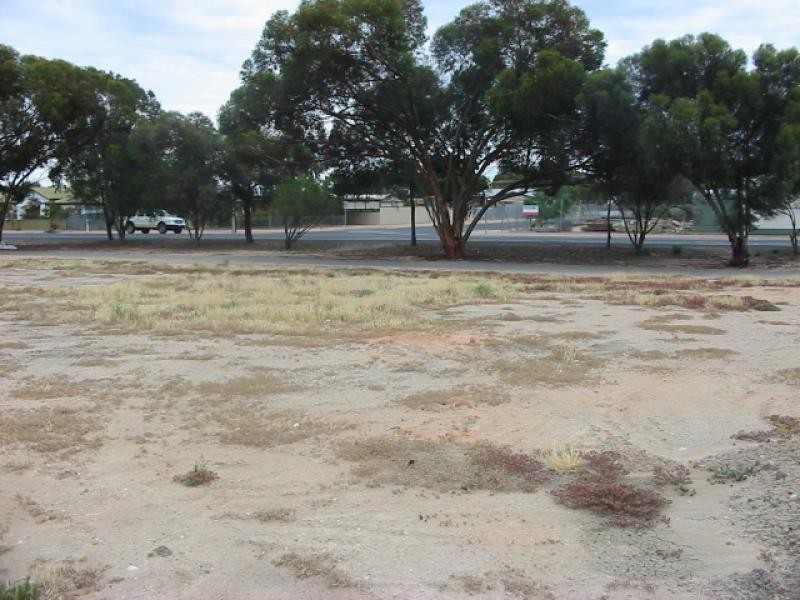 Lot 205/ Railway Terrace, Renmark SA 5341
