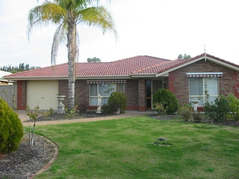 19 Meander Avenue, Renmark SA 5341