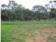 19 Meander Avenue, Renmark SA 5341