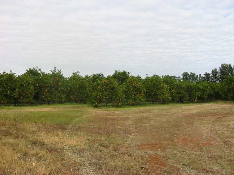 Lot 291/and Block 3 Frankcom Road, Pike River SA 5340