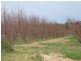 Lot 291/and Block 3 Frankcom Road, Pike River SA 5340