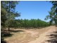 Lot 291/and Block 3 Frankcom Road, Pike River SA 5340