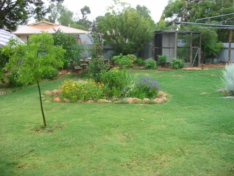 7 Ogilvy Street, Renmark SA 5341