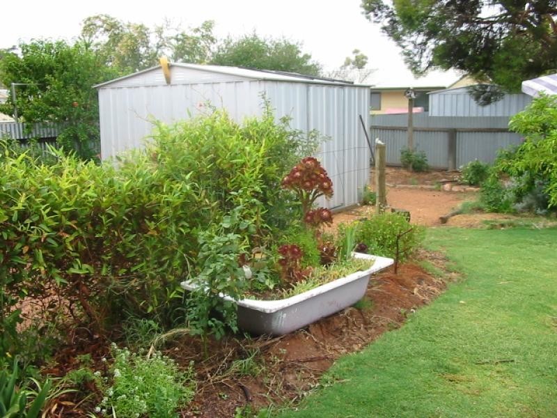 7 Ogilvy Street, Renmark SA 5341