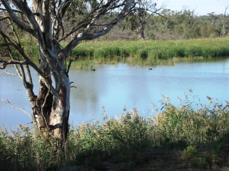 Lot 12/ Townsend Street, Renmark SA 5341