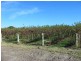 Lot 12/ Townsend Street, Renmark SA 5341