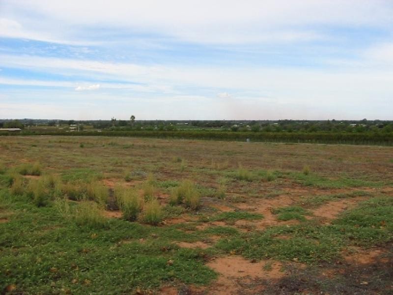 Lot 63/ Tarcoola Street, Renmark SA 5341