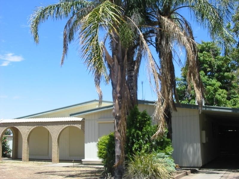 221 Twentyfirst Street, Renmark SA 5341