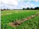 Lot 51/ Government Road, Renmark SA 5341