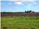 Lot 260/ Cooltong Avenue, Renmark SA 5341