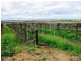 Lot 260/ Cooltong Avenue, Renmark SA 5341