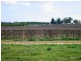 Lot 260/ Cooltong Avenue, Renmark SA 5341