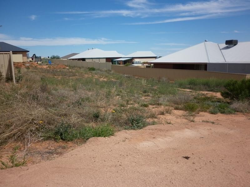 12 Ian Drive, Paringa SA 5340