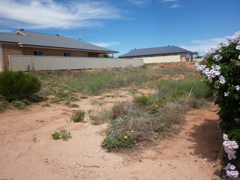 12 Ian Drive, Paringa SA 5340