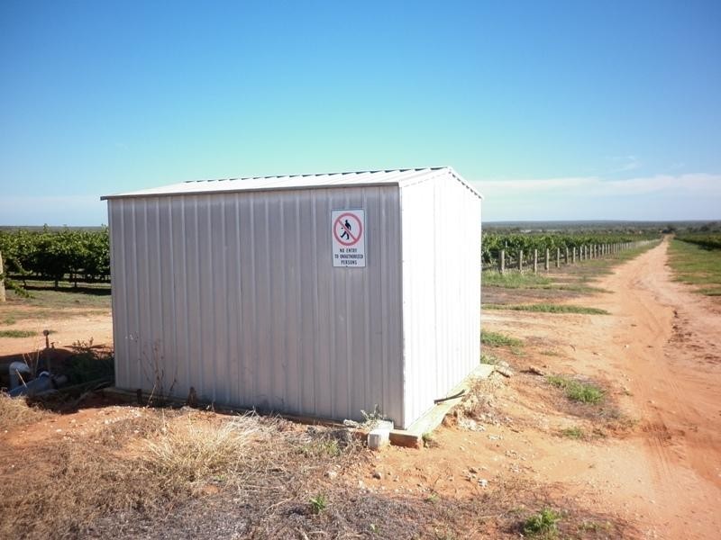 Section 100 Cooltong Avenue, Renmark SA 5341