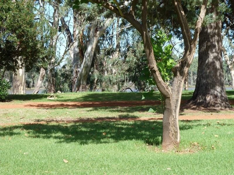 38 James Avenue, Renmark SA 5341