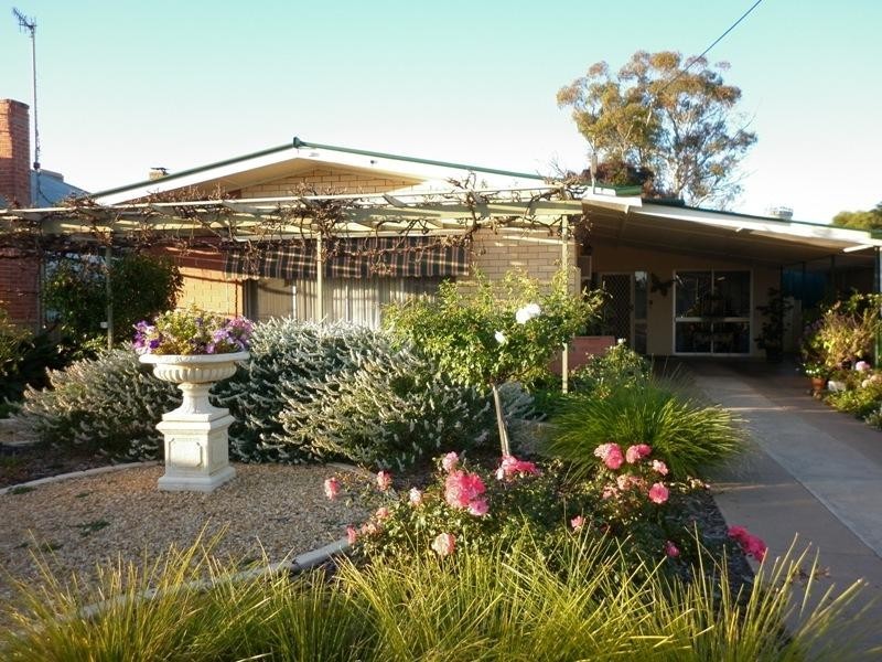 20 Twelfth Street, Renmark SA 5341