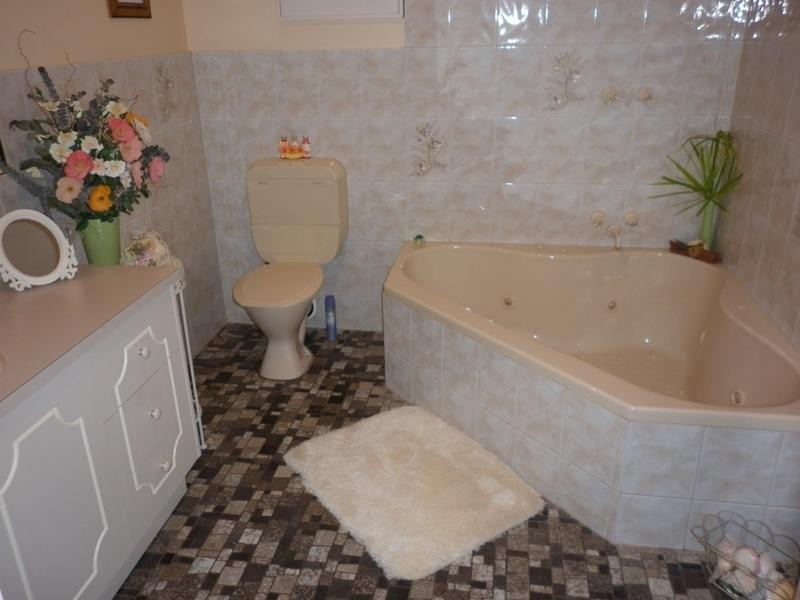 20 Twelfth Street, Renmark SA 5341