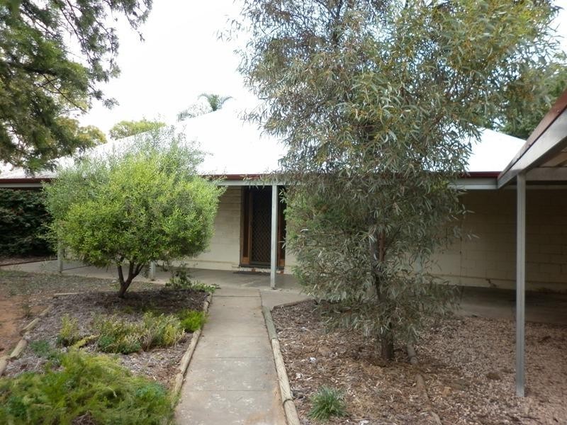 87 Seventeenth Street, Renmark SA 5341