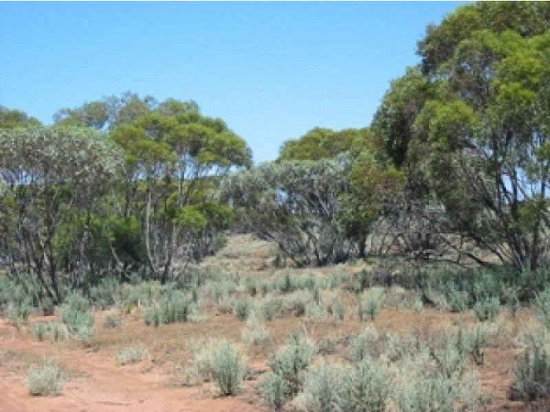 Lot Lot 63 Farley Road, Kingston On Murray SA 5331