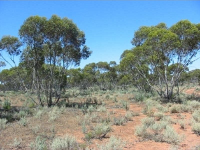 Lot Lot 63 Farley Road, Kingston On Murray SA 5331