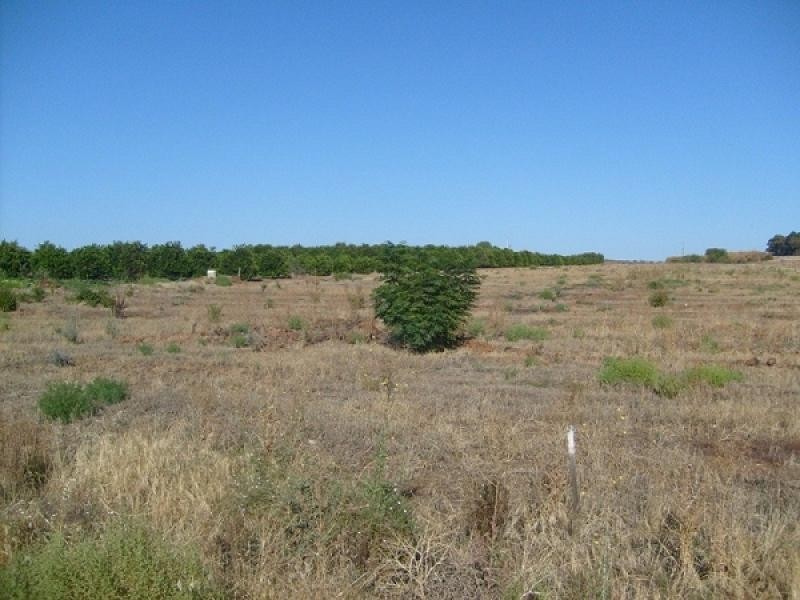 Lot 100 or 101 Lot 100 or 101, Moorook SA 5332