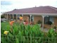 109 Kay Avenue, Berri SA 5343