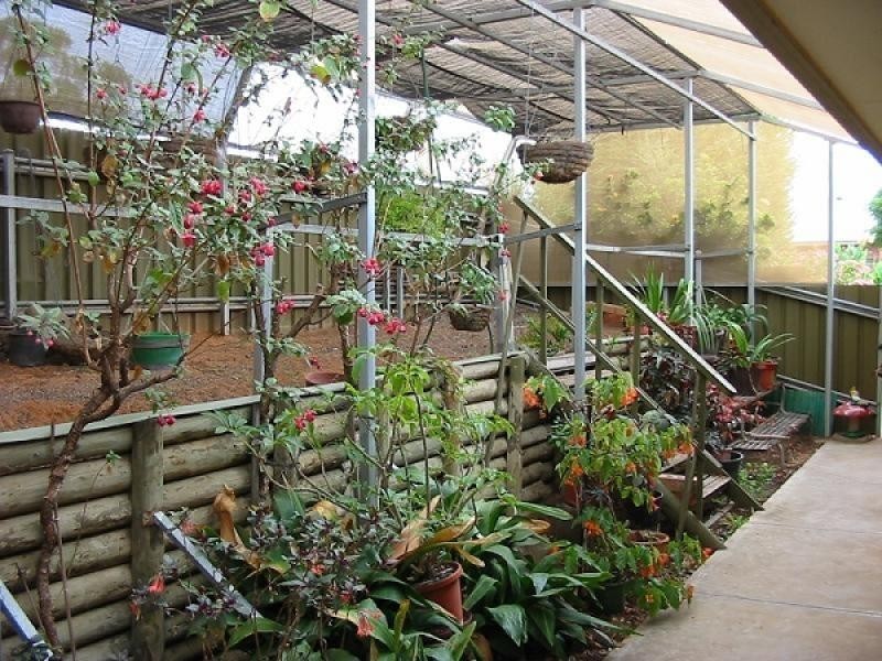 109 Kay Avenue, Berri SA 5343