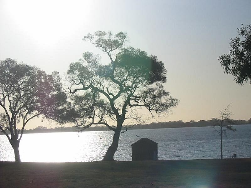 Unit 3/41 Queen Elizabeth Drive, Barmera SA 5345