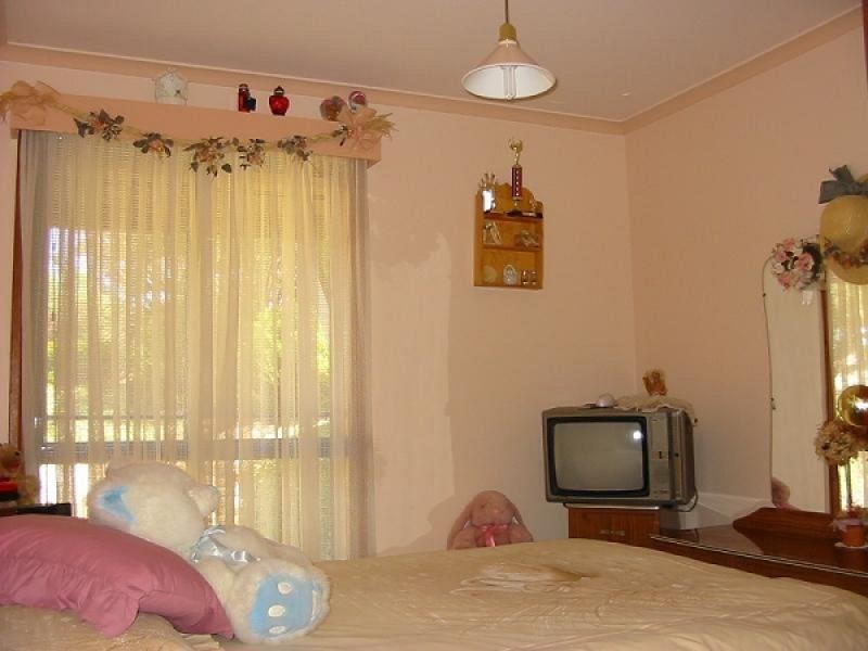 55 Derrick Street, Berri SA 5343