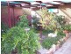 9 Fairway Avenue, Barmera SA 5345