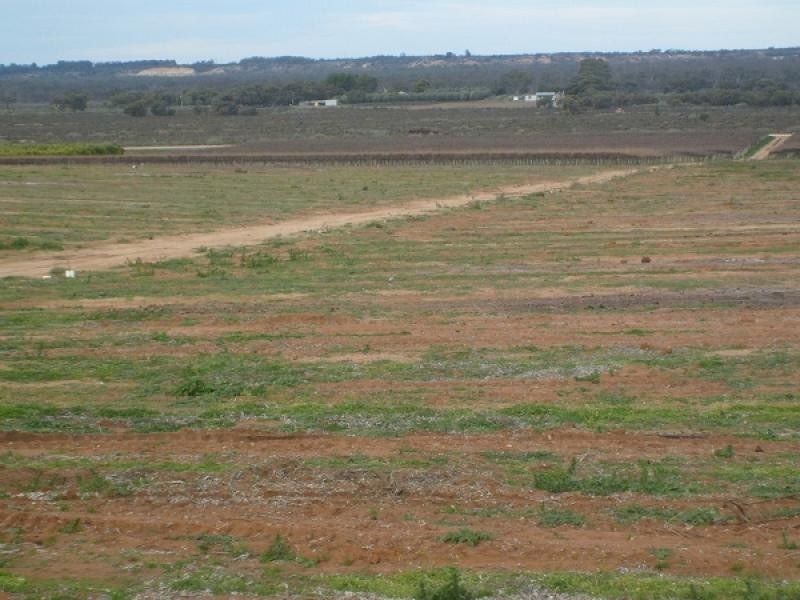 Section 212 Winkie Road, Winkie SA 5343