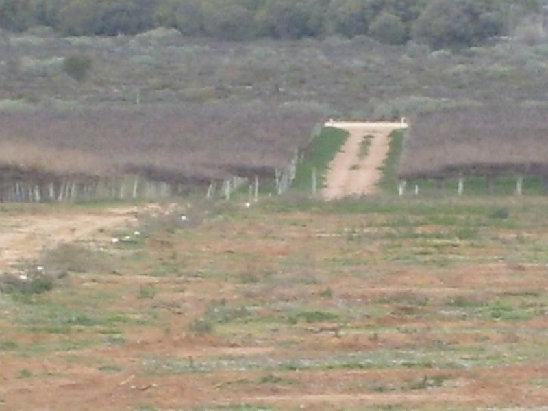 Section 212 Winkie Road, Winkie SA 5343