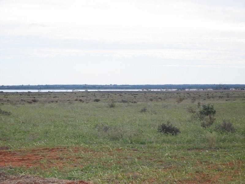 Lot 43 Queen Elizabeth Drive, Barmera SA 5345