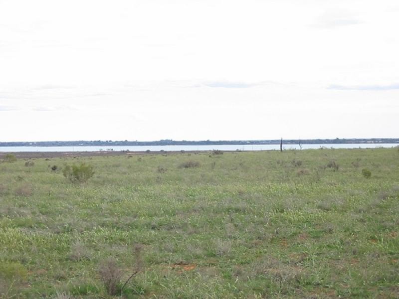 Lot 43 Queen Elizabeth Drive, Barmera SA 5345