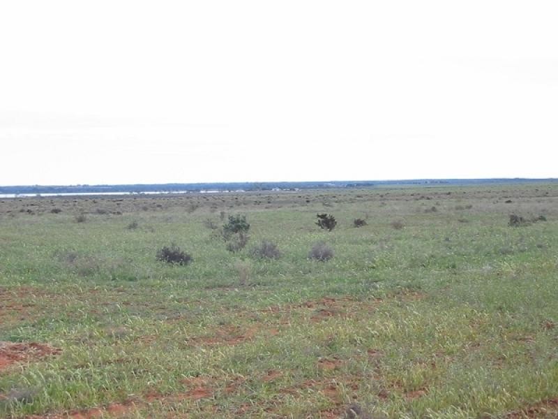 Lot 43 Queen Elizabeth Drive, Barmera SA 5345