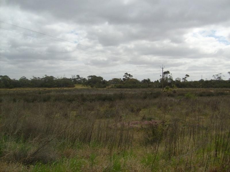 Section 75 Moss Road, Monash SA 5342
