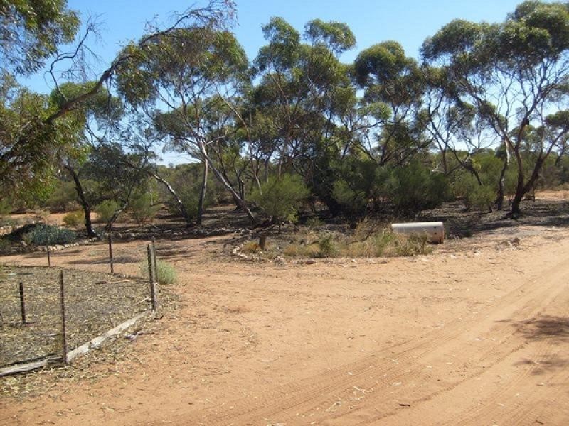 Section 962 Ellis Road, Monash SA 5342
