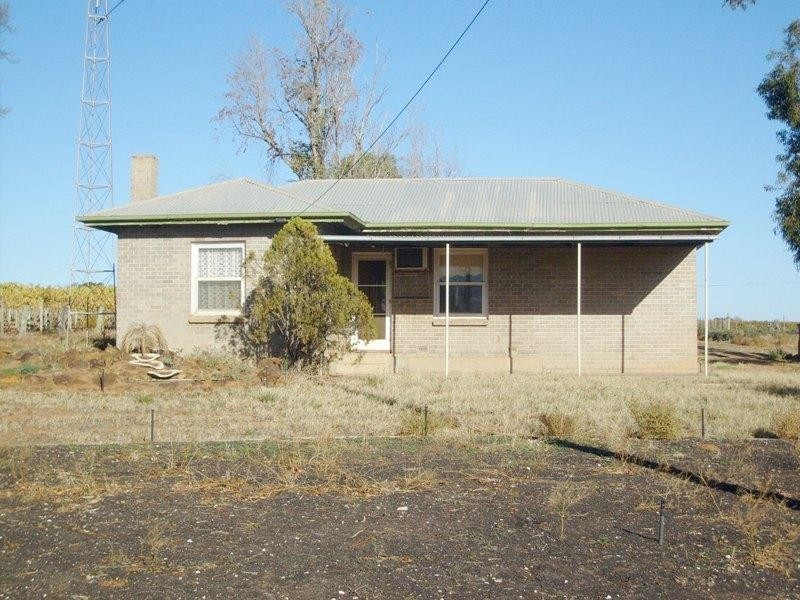 Lot 14 Costello Road, Loveday SA 5345