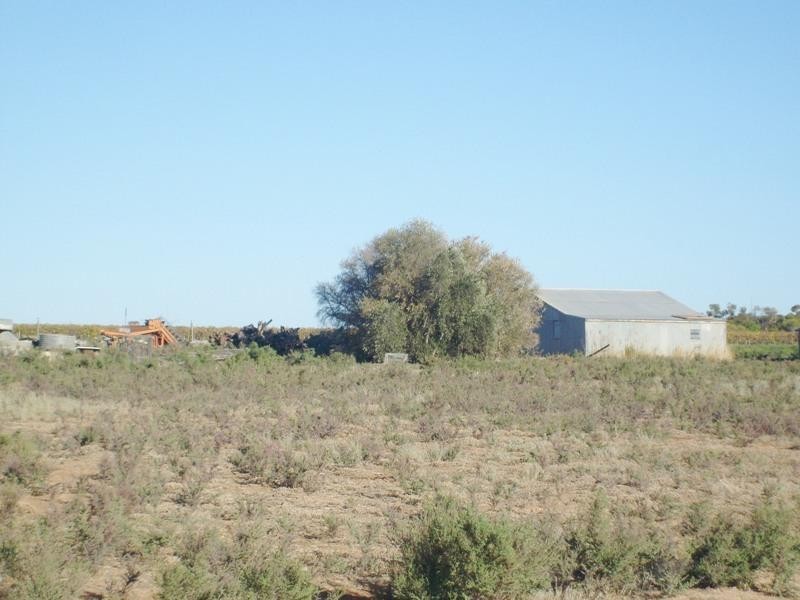 Lot 14 Costello Road, Loveday SA 5345