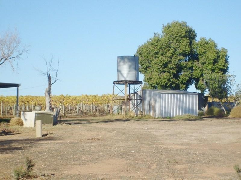 Lot 14 Costello Road, Loveday SA 5345