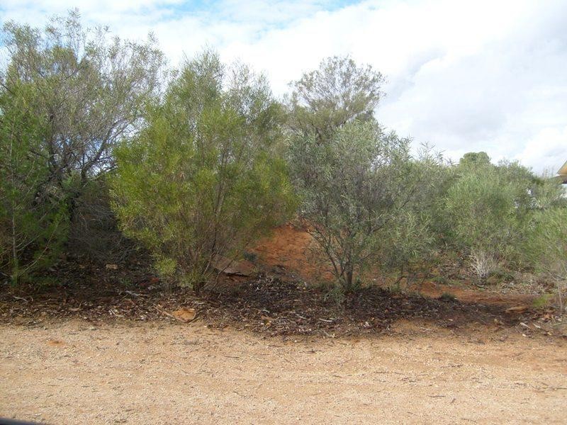 19 RL Gambling Road, Berri SA 5343