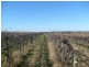 Section 203, Raybould Road, Winkie SA 5343
