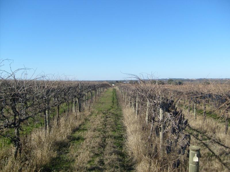Section 203, Raybould Road, Winkie SA 5343