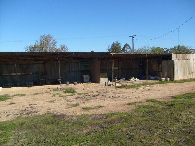 Section 203, Raybould Road, Winkie SA 5343