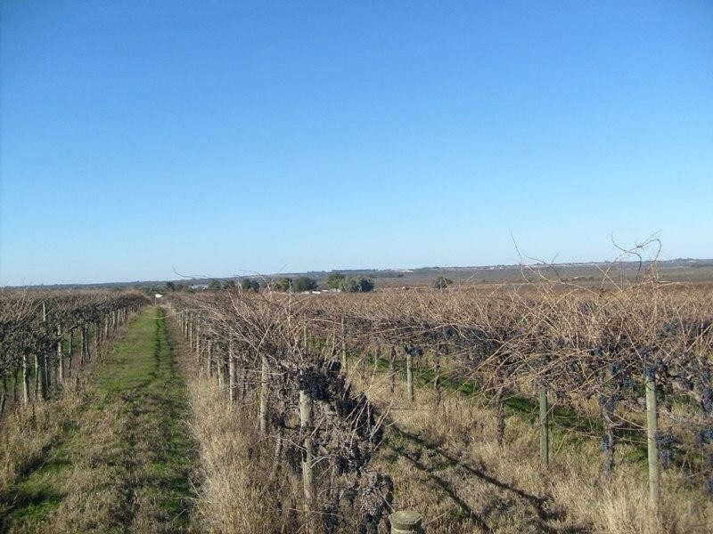 Section 203, Raybould Road, Winkie SA 5343