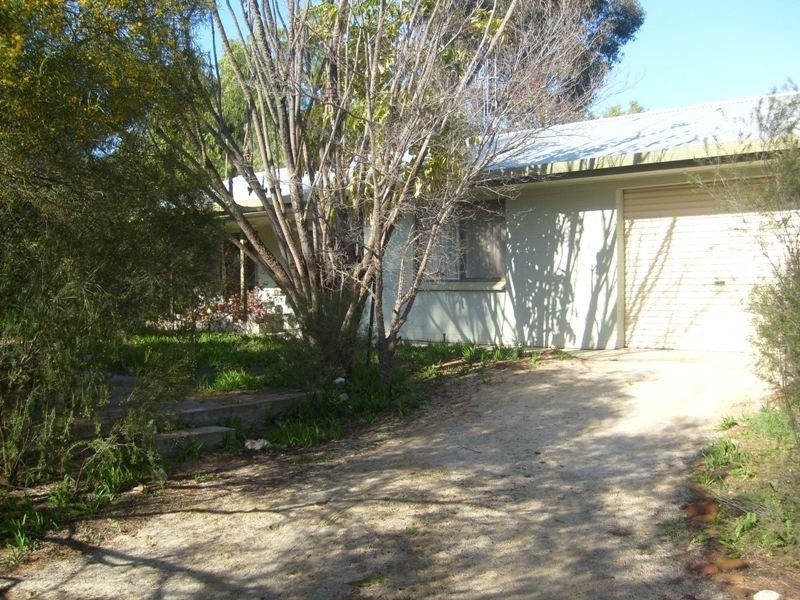 20 Morris Street, Loveday SA 5345